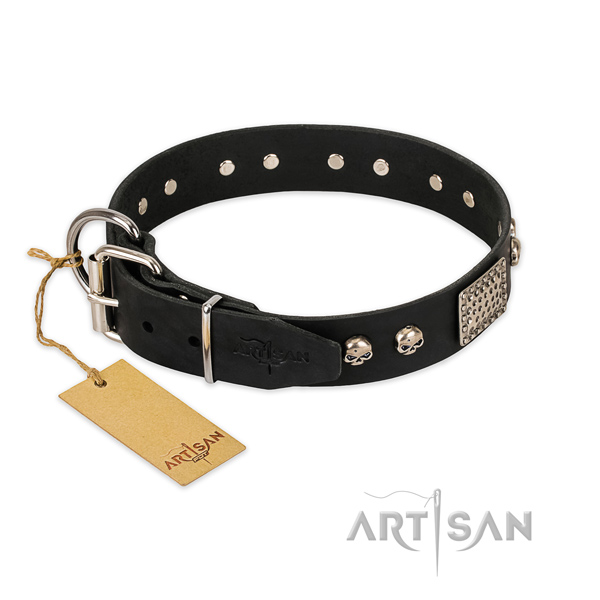 Rust-proof studs on comfortable wearing dog collar