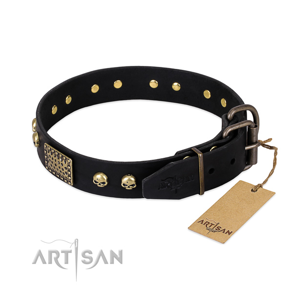 Corrosion resistant D-ring on daily use dog collar