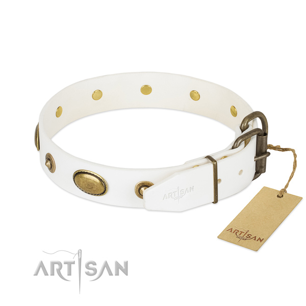 Rust resistant traditional buckle on full grain natural leather dog collar for your pet