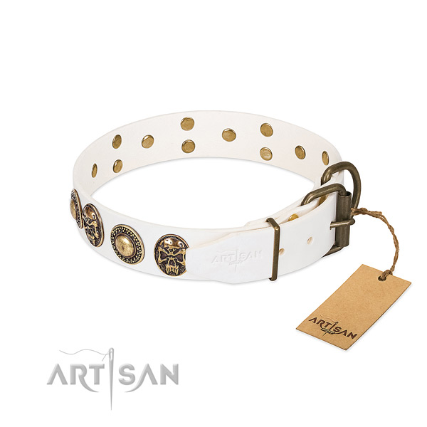 Reliable adornments on everyday use dog collar