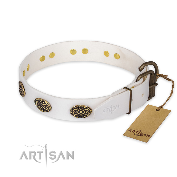 Rust resistant D-ring on genuine leather collar for everyday walking your canine