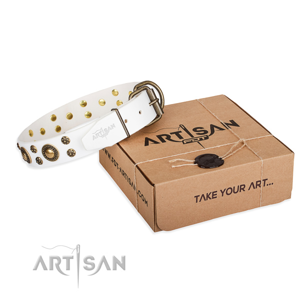 Everyday walking dog collar of top notch full grain genuine leather with embellishments