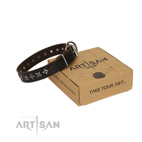 Fancy walking dog collar of top notch full grain genuine leather with adornments