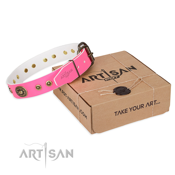 Full grain natural leather dog collar made of top rate material with rust-proof hardware