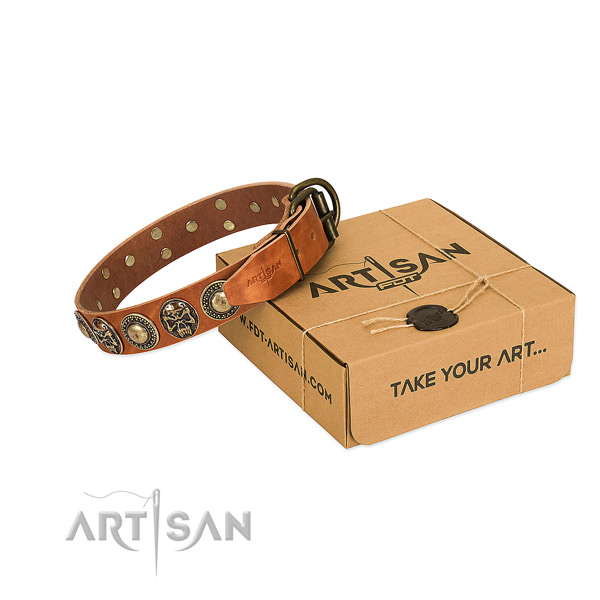 Corrosion resistant hardware on dog collar for comfy wearing