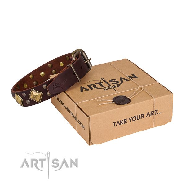 Daily walking dog collar with Fashionable corrosion resistant embellishments