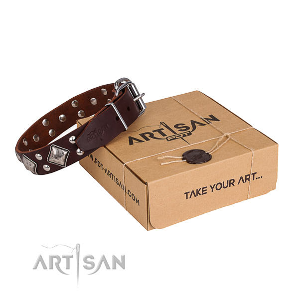 Handy use dog collar with Trendy corrosion resistant embellishments