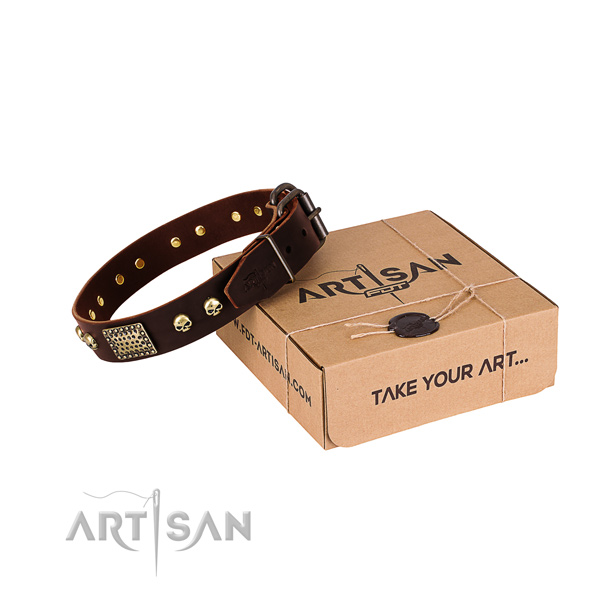 Corrosion proof D-ring on dog collar for daily use
