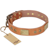 "The Middle Ages" FDT Artisan Handcrafted Tan Leather Swiss Mountain Dog Collar