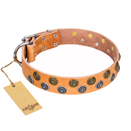 "Precious Sparkle" FDT Artisan Handcrafted Tan Leather Swiss Mountain Dog Collar