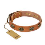 "Magic Amulet" FDT Artisan Tan Leather Swiss Mountain Dog Collar with Oval Studs