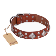 "Magic Squares" FDT Artisan Tan Leather Swiss Mountain Dog Collar with Silver-like Decor