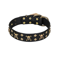 "Jolly Rojer" FDT Artisan Leather Swiss Mountain Dog Collar with Pirate Skulls and Studs - 1 1/2 inch (40 mm) wide