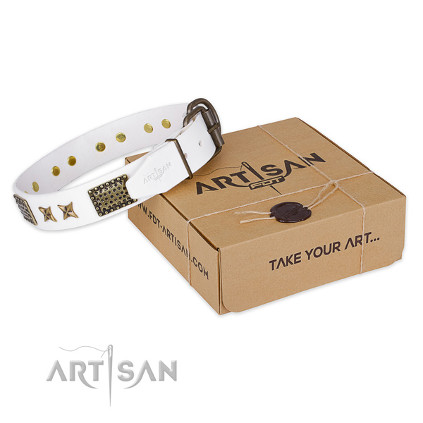 Corrosion proof fittings on full grain genuine leather collar for your beautiful pet