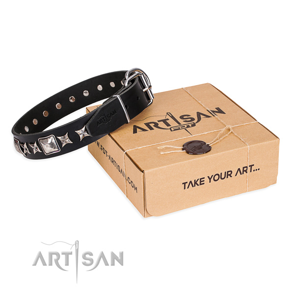 Everyday walking dog collar of top notch natural leather with embellishments