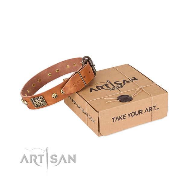 Rust-proof buckle on dog collar for basic training