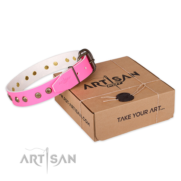 Strong D-ring on full grain genuine leather collar for your handsome canine