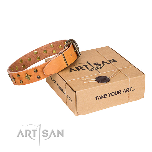 Walking dog collar of top notch full grain genuine leather with embellishments
