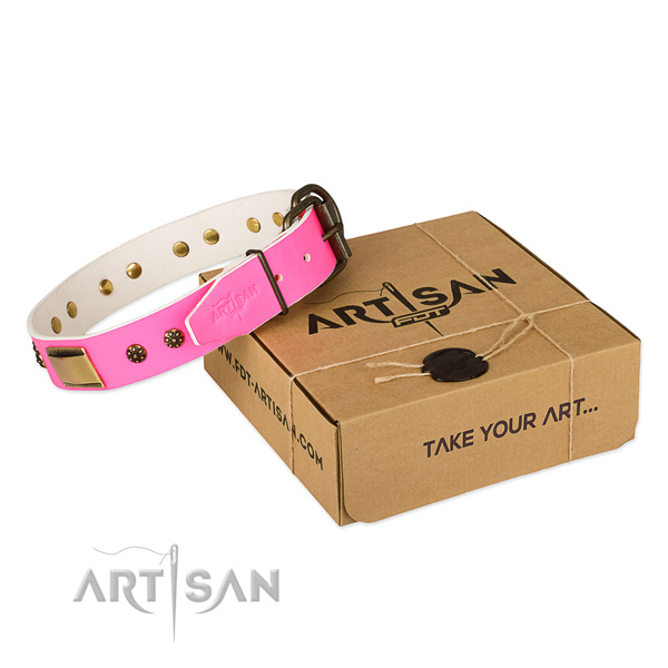 Exceptional full grain leather collar for your beautiful four-legged friend