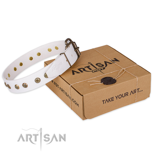 Strong traditional buckle on leather collar for your lovely canine