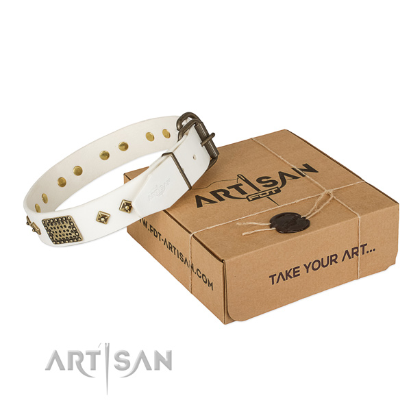 Significant full grain genuine leather collar for your beautiful pet