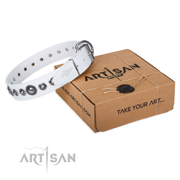 Leather dog collar made of reliable material with corrosion proof traditional buckle