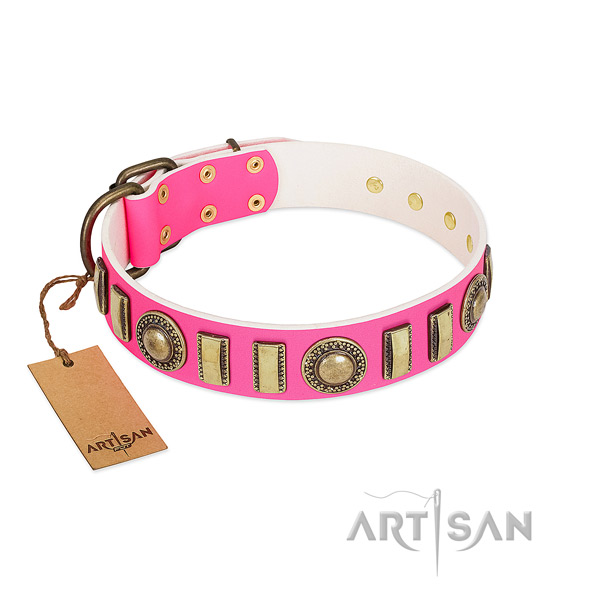 Stunning leather dog collar with rust resistant D-ring