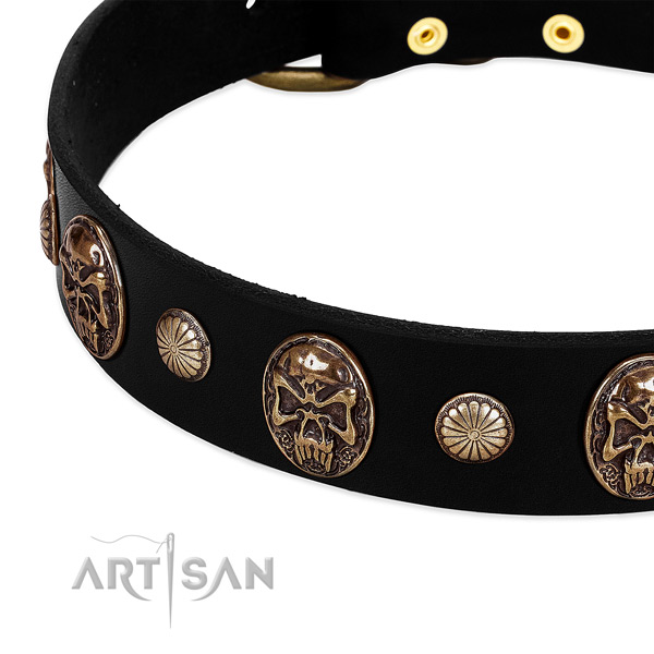 Full grain natural leather dog collar with fashionable adornments