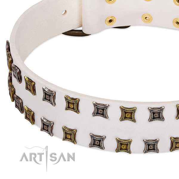 Full grain natural leather dog collar with adornments for your beautiful canine