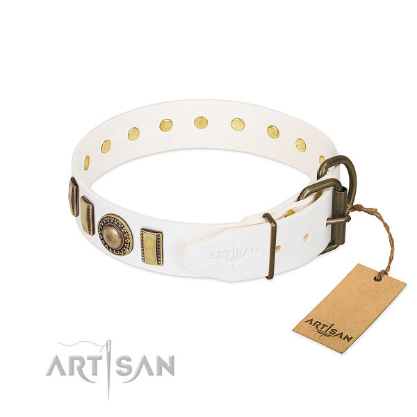 Durable leather dog collar crafted for your dog