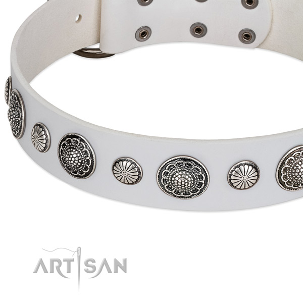 Full grain genuine leather collar with corrosion resistant D-ring for your attractive canine