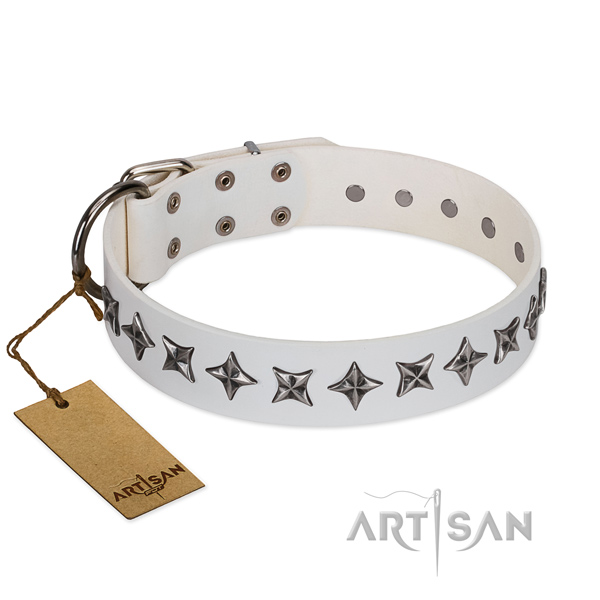 Comfy wearing dog collar of reliable full grain natural leather with decorations