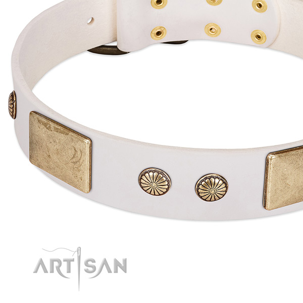 Durable fittings on full grain genuine leather dog collar for your pet