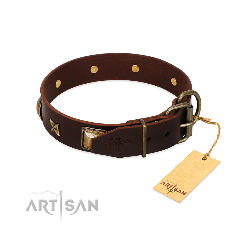 Brown Leather Collar & Leash Set – DAS WORKSHOP