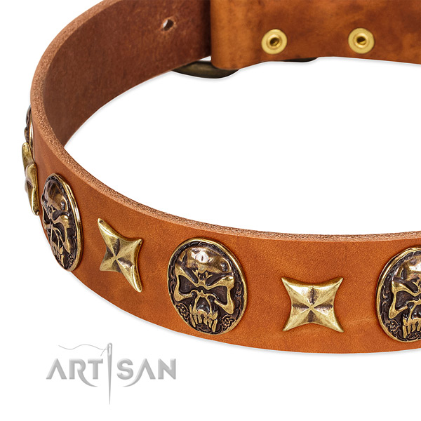Reliable embellishments on full grain leather dog collar for your dog