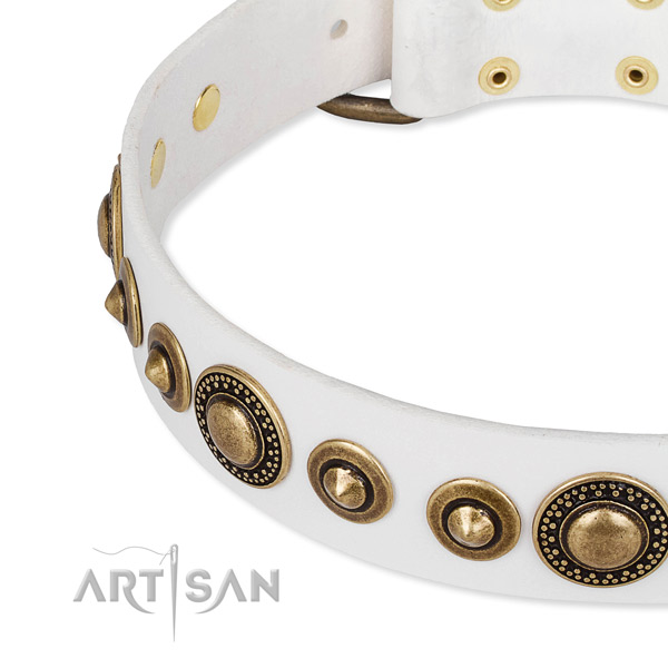 Soft full grain natural leather dog collar handmade for your attractive four-legged friend
