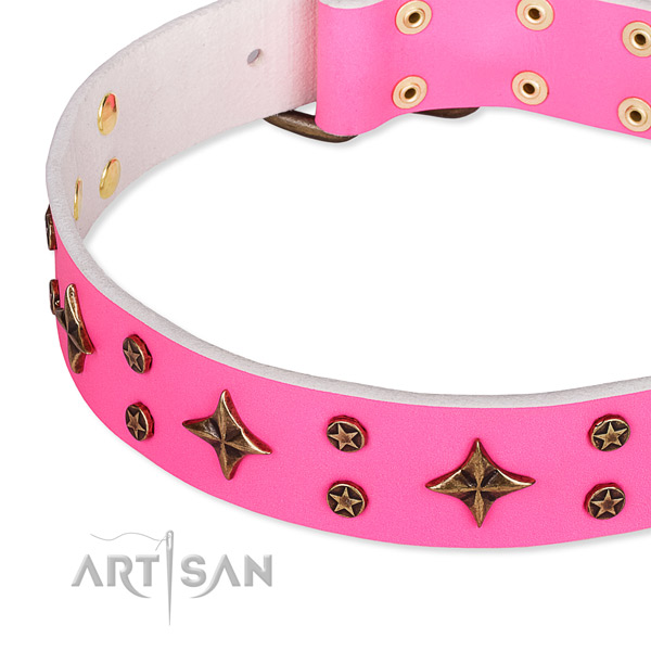 Daily use adorned dog collar of fine quality full grain natural leather