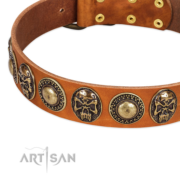 Corrosion proof D-ring on genuine leather dog collar for your dog