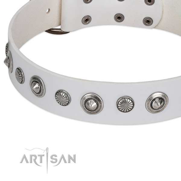 Leather collar with corrosion resistant hardware for your beautiful dog