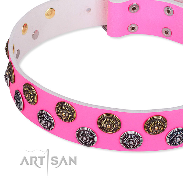 Daily use embellished dog collar of durable full grain leather