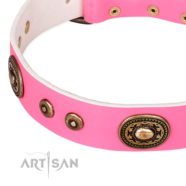 Adorned dog collar made of top notch natural genuine leather