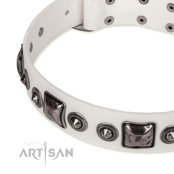 Best quality leather dog collar created for your impressive four-legged friend