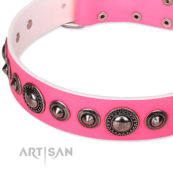 Comfy wearing decorated dog collar of high quality full grain natural leather