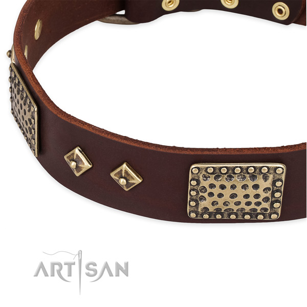 Rust resistant D-ring on full grain genuine leather dog collar for your pet