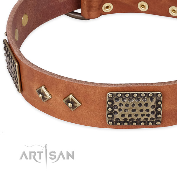Corrosion resistant buckle on genuine leather dog collar for your canine