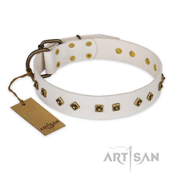 Stylish design full grain natural leather dog collar with reliable hardware