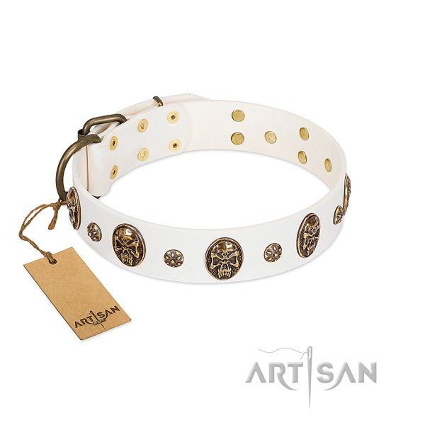 Fashionable leather collar for your four-legged friend