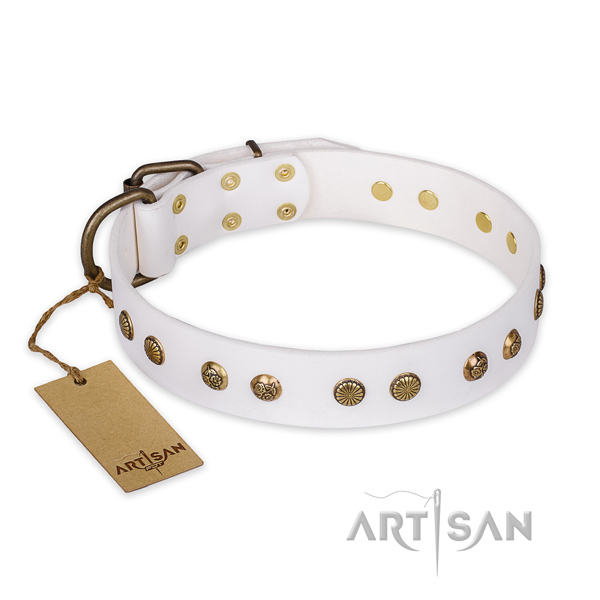 Incredible natural genuine leather dog collar with reliable traditional buckle