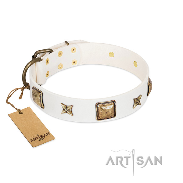 Incredible leather dog collar for basic training