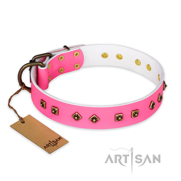 Impressive full grain natural leather dog collar with corrosion resistant D-ring